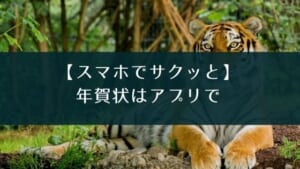 スマホで作れる2022年の年賀状アプリおすすめ【早いほどお得】