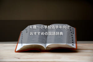 幼稚園～小学校低学年向け　はじめての国語辞典におすすめ3選