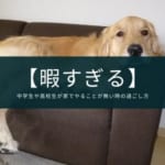 【暇すぎる】中学生や高校生が家でやることが無い時の過ごし方