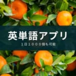 【英単語の勉強アプリ】1日1000個も可能『mikan』【小学生~大人】