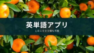 【英単語の勉強アプリ】１日1000個も可能『mikan』【小学生～大人】