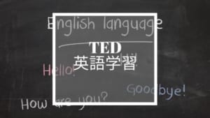 【英語学習におすすめ】TEDアプリの使い方を紹介