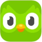 【小4～中3の英語に】おすすめの語学学習アプリ『Duolingo』の紹介