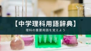 学校の定期テストの勉強に使えるアプリ『中学理科用語辞典』