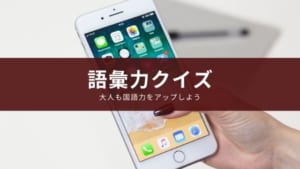 大人の国語力・読解力アップに役立つアプリ『語彙力クイズ600 』