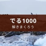 『でる1000』レビュー、初心者も使える? 【アプリabceed使用推奨】