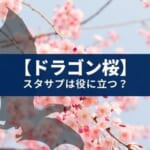 【スタディサプリ】大学受験の役に立つ?ドラゴン桜と現実の違い