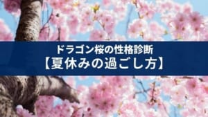 『ドラゴン桜風』 夏休みの学習スタイルを決める性格診断!