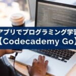 メジャーなプログラミング学習サイトのアプリ『Codecademy Go』