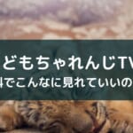アプリ『こどもちゃれんじTV』レビュー【評判とおすすめの理由】