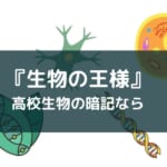 アプリ『生物の王様』レビュー【大学入試・高校の定期テストに使える】