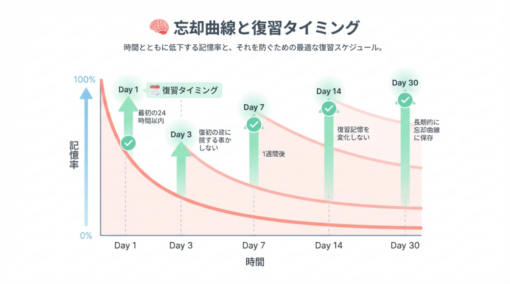 忘却曲線の説明